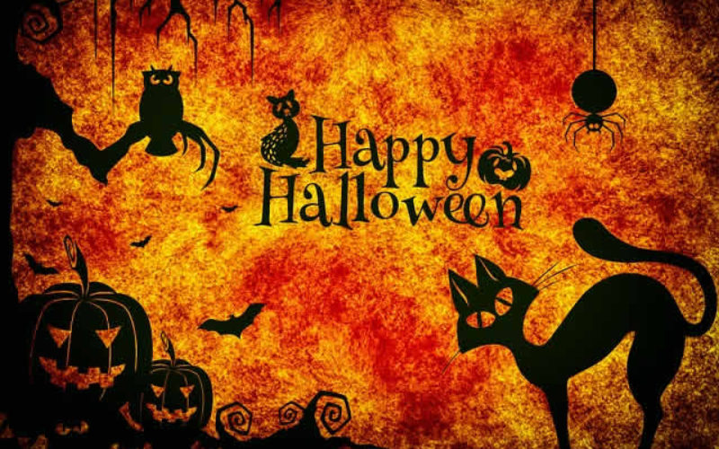 It’s Halloween Week – Time to Decorate