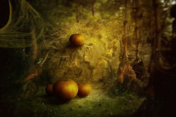 Pumpkin Display for the Holidays