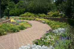 Deciding Type of Walkway Styles