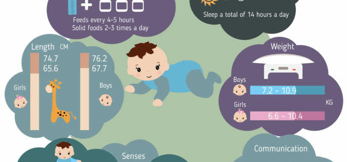 Series of Infant Growth and Caring Guides: 9-Month