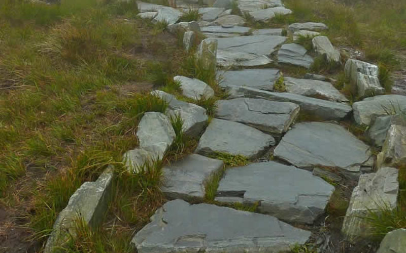 Stone Paving for Side Yard and Patio