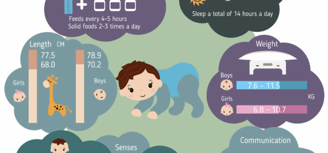 Series of Infant Growth and Caring Guides: 11-Month