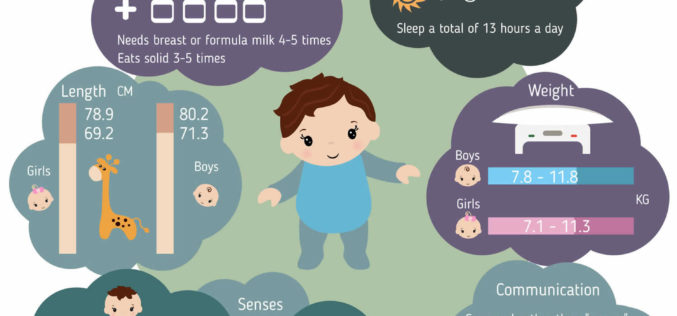 Series of Infant Growth and Caring Guides: 12-Month
