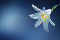Welcome Spring … It’s About Time