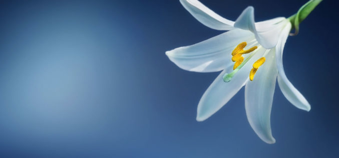 Welcome Spring … It’s About Time