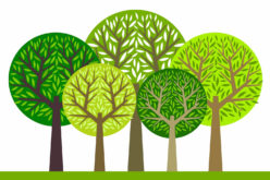 Using Privacy and Screening Trees