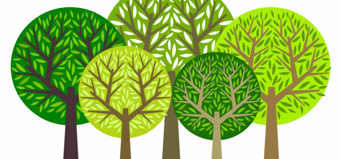 Using Privacy and Screening Trees
