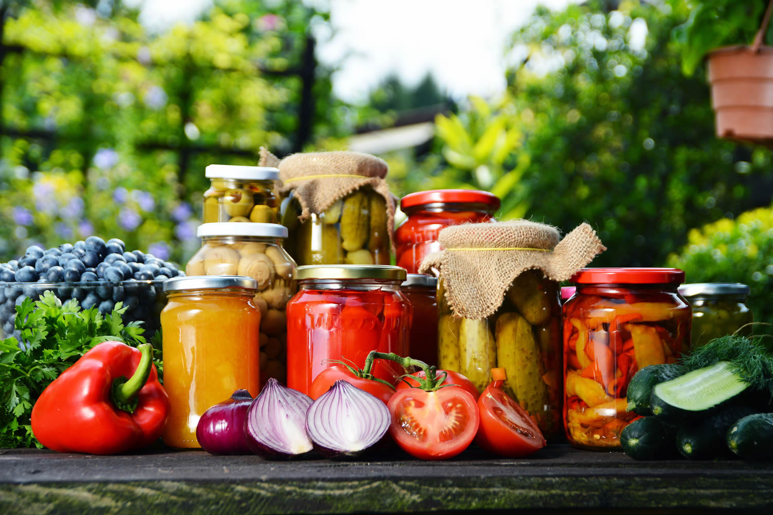 harvest canning