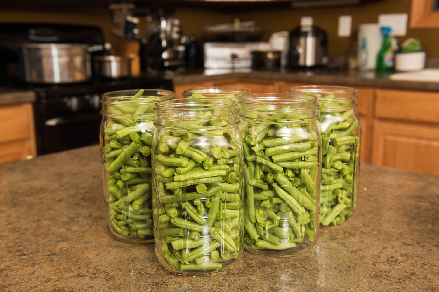 canning beans