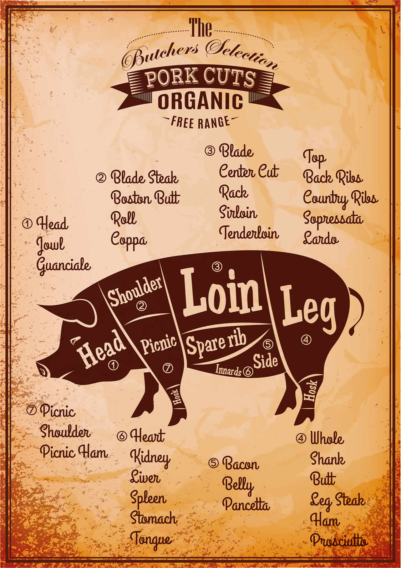 things to look for in a new grill