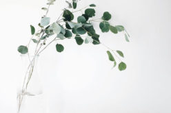 Going Minimalist for Your Living Room Design