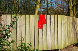 Adding a Wooden Garden Fence