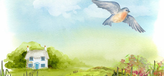 For the Coming Summer – Home Renovation Planning