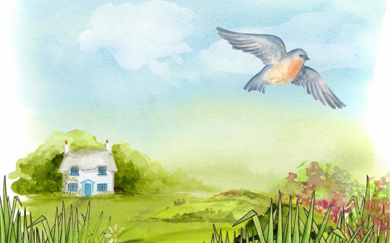 For the Coming Summer – Home Renovation Planning