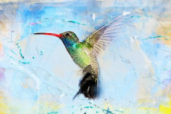 Building a Bird Paradise In Your Backyard