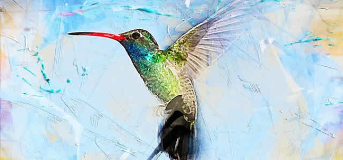 Building a Bird Paradise In Your Backyard