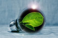 Comparing Energy Efficient Light Bulbs