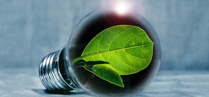 Comparing Energy Efficient Light Bulbs