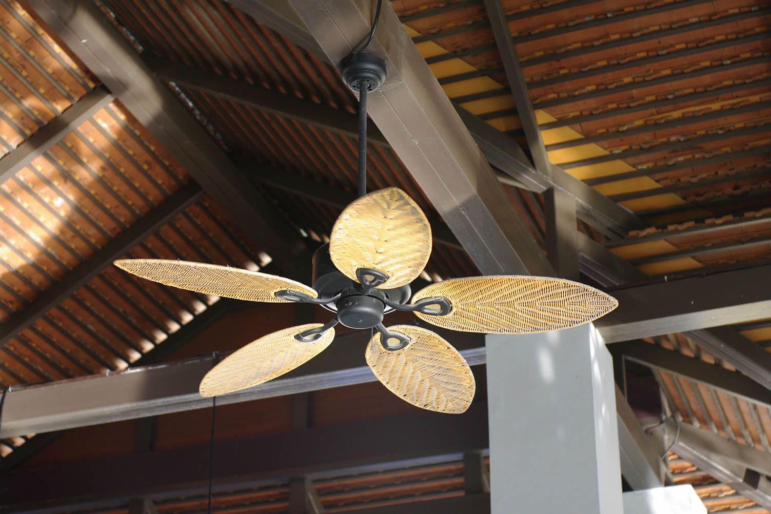 ceiling fans