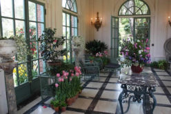 You Could Have Room or Better Yet, A Home Atrium