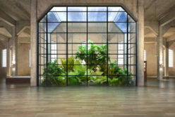 5 Indoor Gardening Tips When Living in a Crowded City