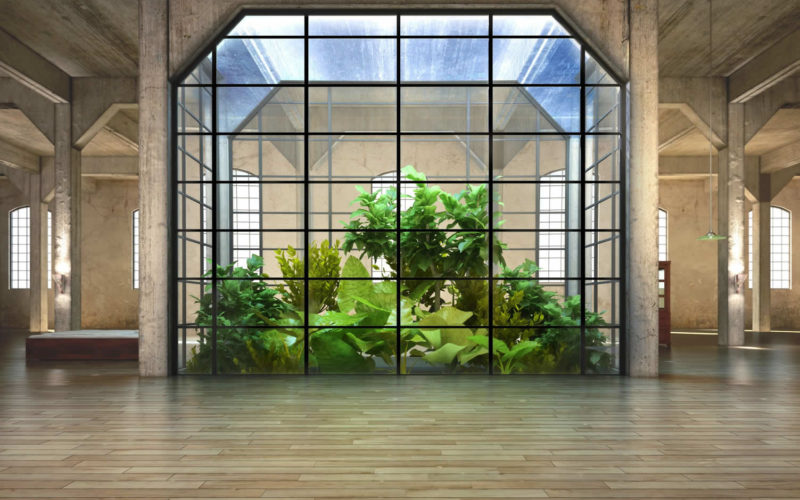 5 Indoor Gardening Tips When Living in a Crowded City