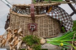 Taking a Picnic Basket To All Kind of Places