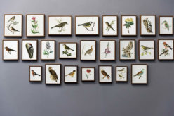 What To Do With Your Walls – Some Creative Wall Decor