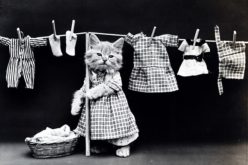Managing Your Laundry in Style – Maybe Not!