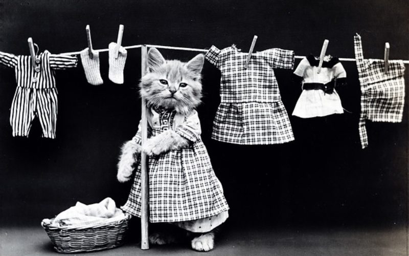 Managing Your Laundry in Style – Maybe Not!