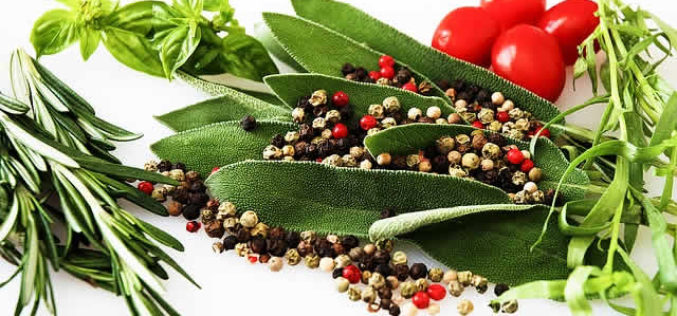 Knowing Your Herbs and Spices in Food Preparation