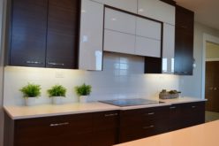 The Sleek Look of Modern Kitchen Cabinets