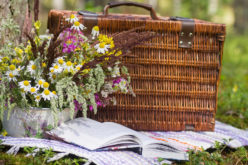 Planning Your 4th of July Picnic