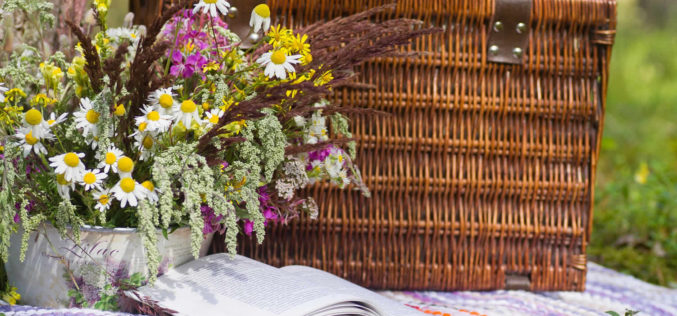 Planning Your 4th of July Picnic