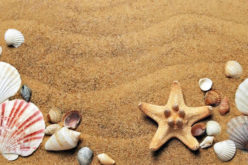 Enjoy the Summer at the Beach