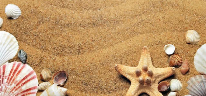 Enjoy the Summer at the Beach