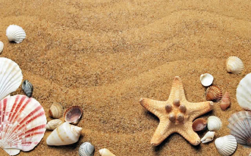 Enjoy the Summer at the Beach