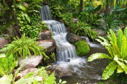 <span>photo image analysis:</span> Using a Garden Waterfall in Your Landscaping Design