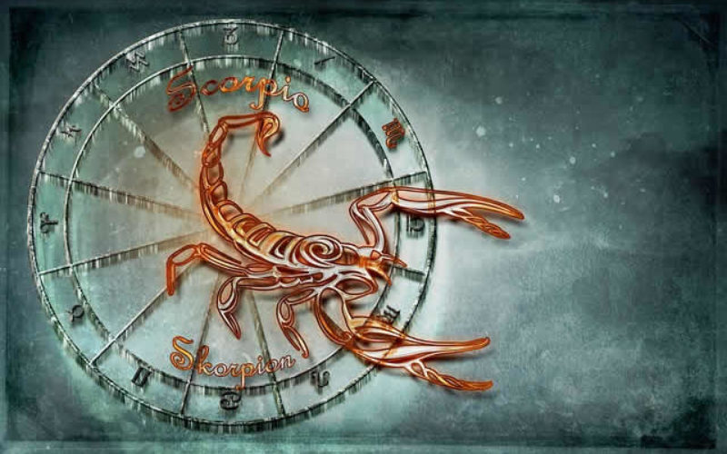 Bringing the Zodiac Constellations Inside