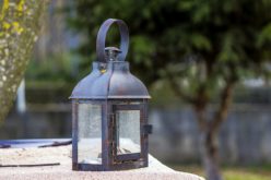 Letting Your Garden Shine