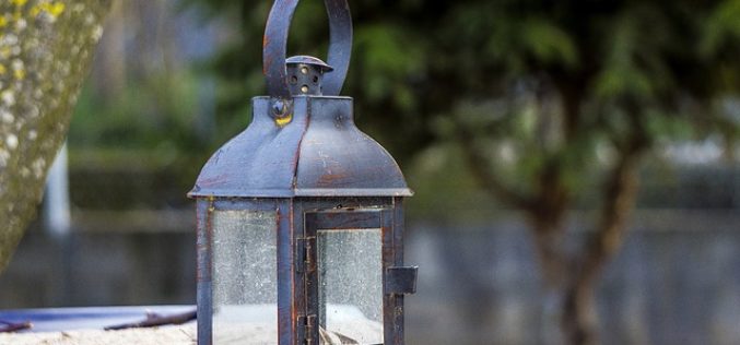 Letting Your Garden Shine