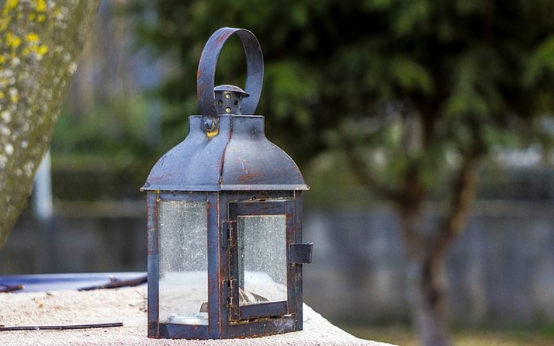 Letting Your Garden Shine