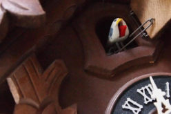Adding A Cuckoo Clock to Your Wall Decor