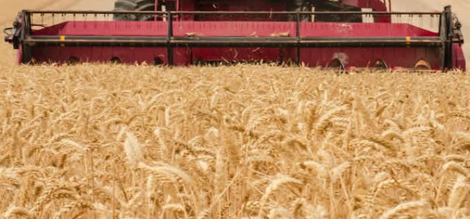 Time for the Harvest – Gathering It In for Production