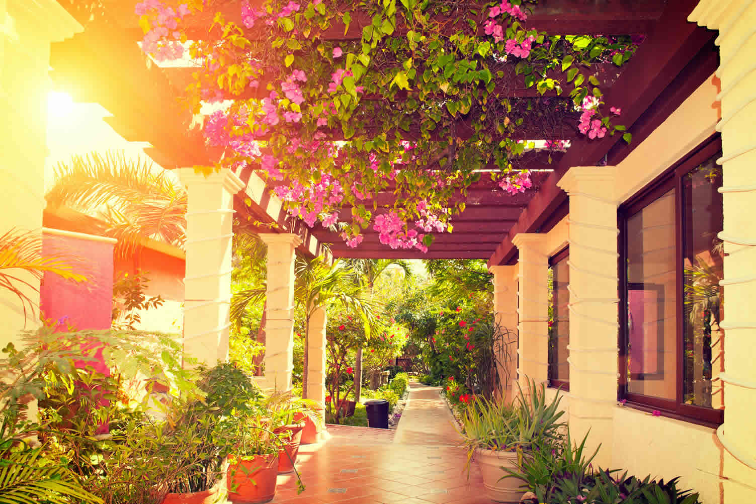 adding a pergola