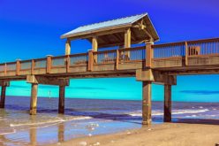 While Summer Beaching This August, Observe Beach Nature