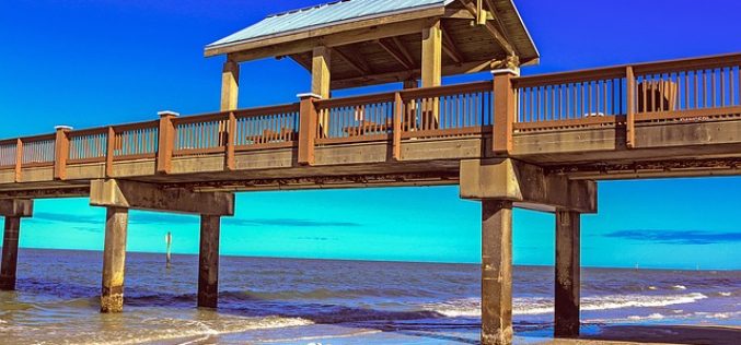 While Summer Beaching This August, Observe Beach Nature