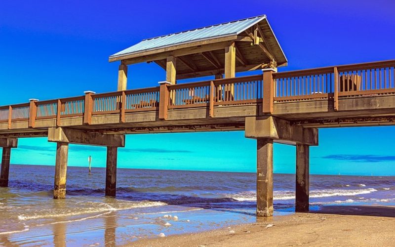 While Summer Beaching This August, Observe Beach Nature
