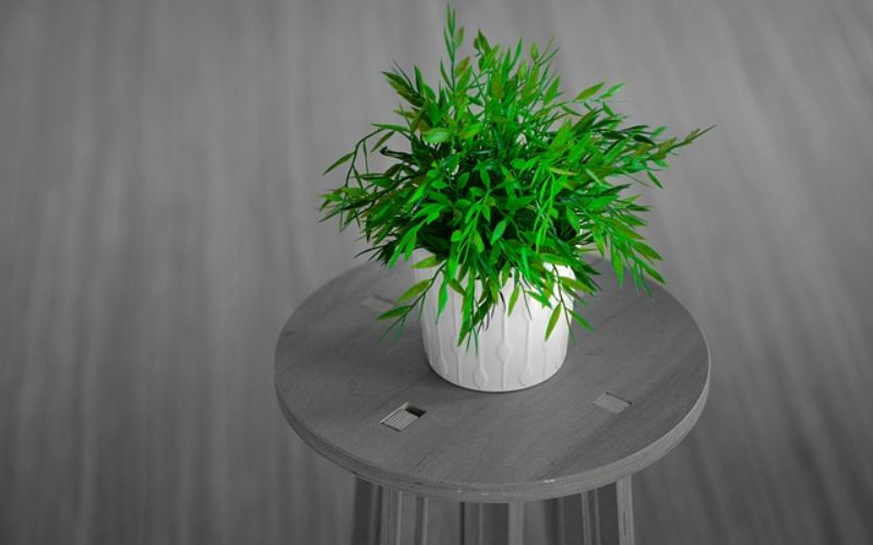 Decorative Plant Stands as Decor