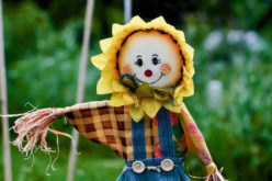 Time for the Scarecrow to Go Up – Just Before Harvest